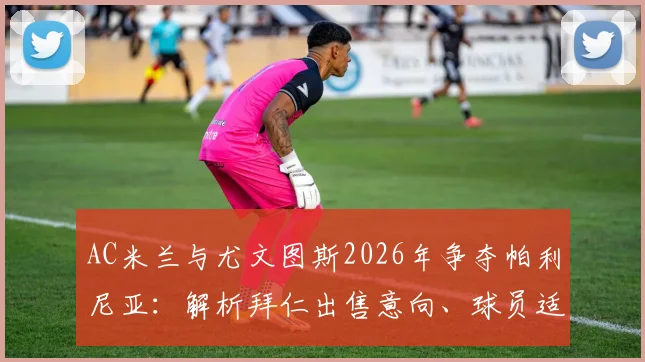 AC米兰与尤文图斯2026年争夺帕利尼亚:解析拜仁出售意向、球员适配性及转会费预估